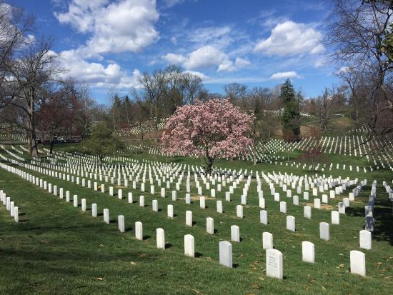 Arlington National Cemetery